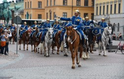 Смена караула у Королевского дворца Стокгольма