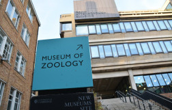 Зоологический музей Кембриджского университета