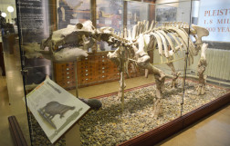 Музей наук о Земле им. А. Седжвика