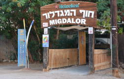 Migdalor beach in Eilat