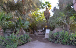 Dolphin Reef in Eilat