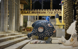 Eilat City Museum