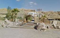 Camel Ranch in Eilat