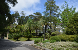 Дендрарий Сочи