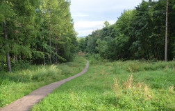 Как добраться до Быково