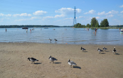 Городской пляж Hietaranta в Хельсинки