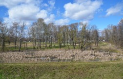 Комсомольский парк в Ростове