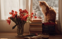 Доставка цветов за границу: Каковы преимущества международной доставки цветов?