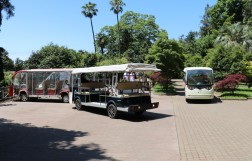 Транспорт в Ботаническом саду Батуми