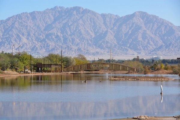 Орнитологический парк Эйлата