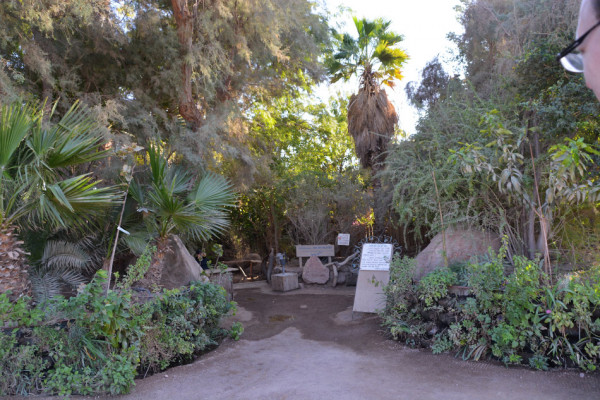 Dolphin Reef in Eilat