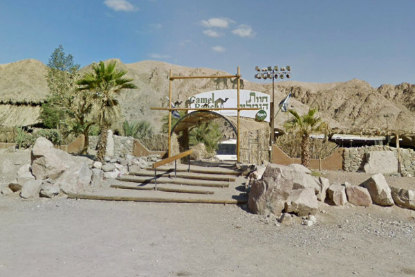 Camel Ranch in Eilat