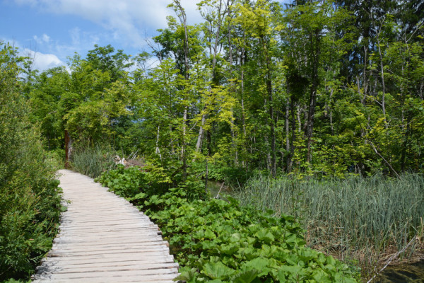 Как добраться до Плитвицких озер