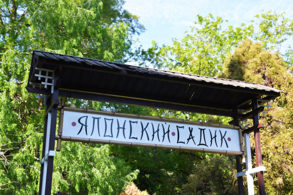 Японский садик - дендрарий Сочи