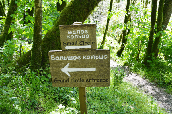 Маршруты и достопримечательности Тисо-самшитовой рощи