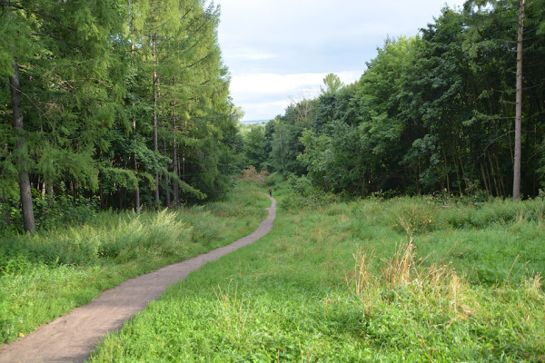 Как добраться до Быково