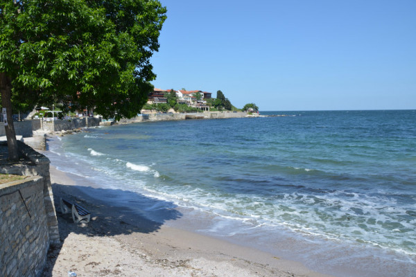 Какие страны признают прививку Спутник V?