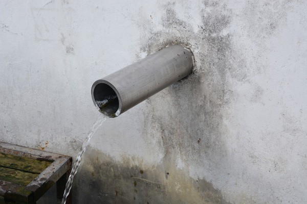 Источник у Звенигородского Городка