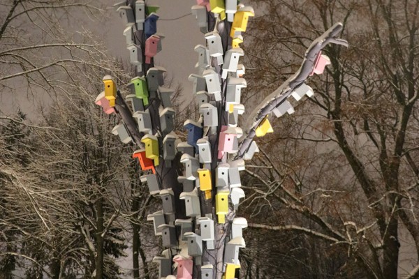 Tree with birdhouses in the Esplanade park