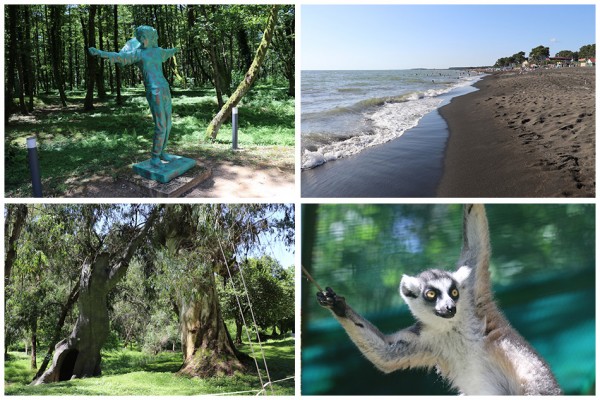 Маршрут на день из Батуми: парк Музыкантов, дендропарк Шекветили и пляж Уреки